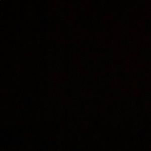 Meet your Posher, Bridgette